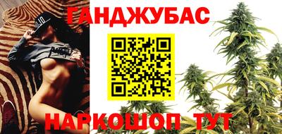 гашик Бузулук