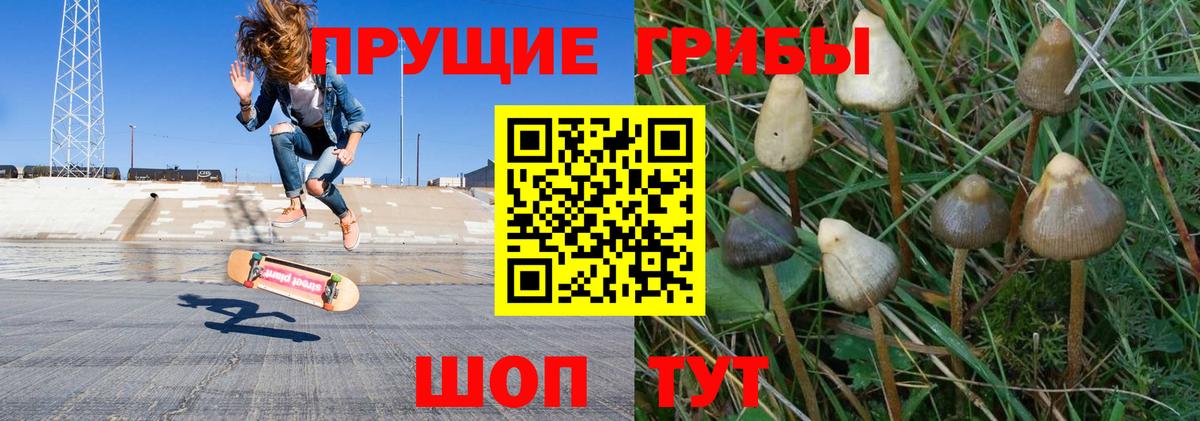 Галлюциногенные грибы GOLDEN TEACHER Рубцовск